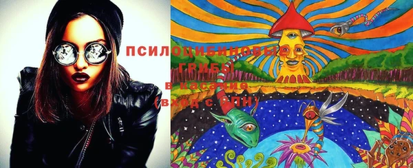 дурь Верея