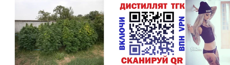 ТГК концентрат  Бобров 