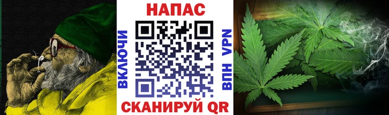 мориарти как зайти  что такое наркотик  Бобров  Бошки марихуана индика 
